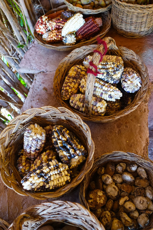 Traditional Andean Foods