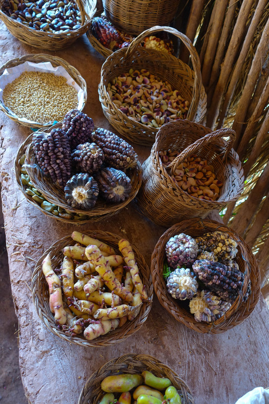 Traditional Andean Foods