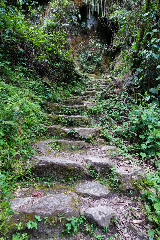 The Trail to Putukusi