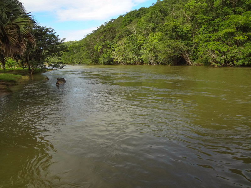 The Mopan River
