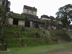 Central Acropolis of Tikal's Gran Plaza