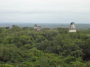 View From The Top of Temple IV