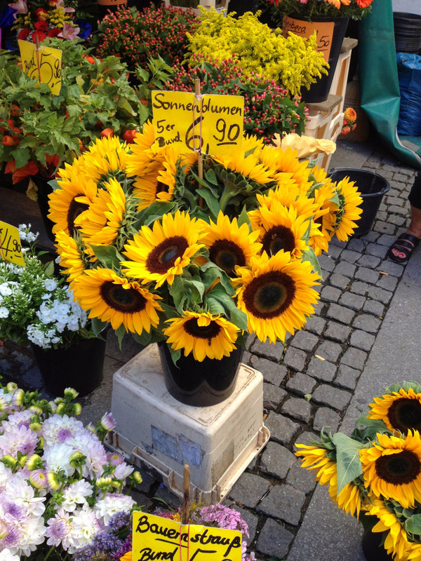 Flowers For Sale in the Marienplatz