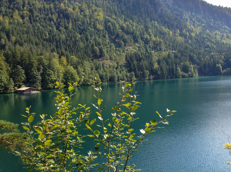 Hiking Along The Shores of the Alpensee