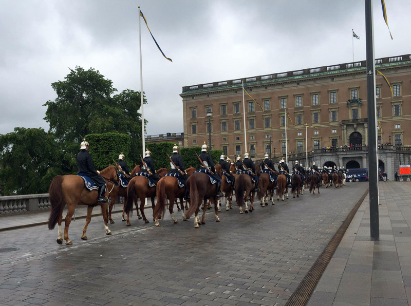 Swedish Royal Guards