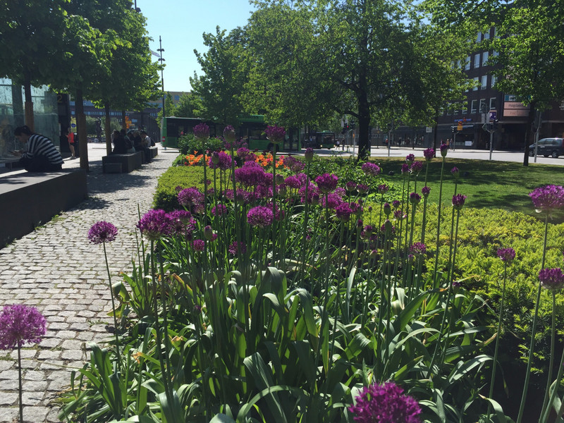 Warm Spring Day in Uppsala