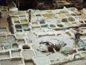 The Fez Tanneries