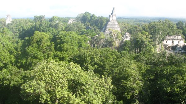 View from the top of a Mayan ruin!
