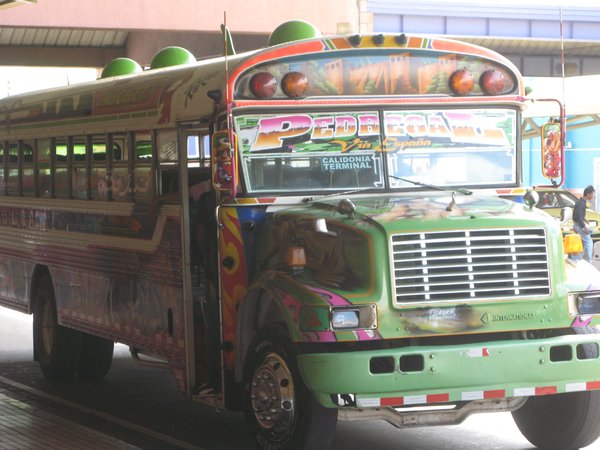 Crazy buses in Panama