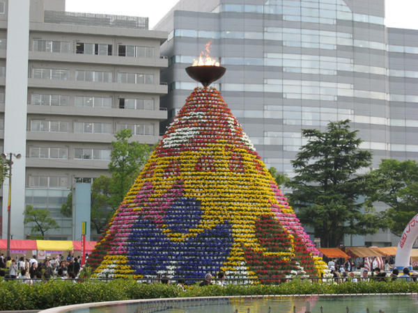 Display made of small potted plants for the flower festival