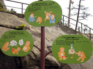 Bad weather and no monkeys so this sign was the most exciting thing at the top of the mountain!