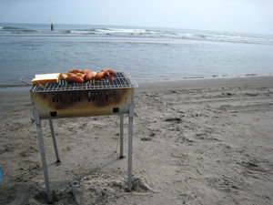 Beach Barbeque!