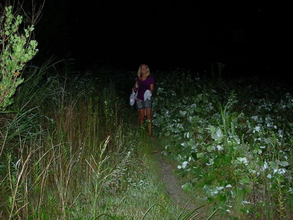 Scary walk back, but we did see some cool bright fireflies
