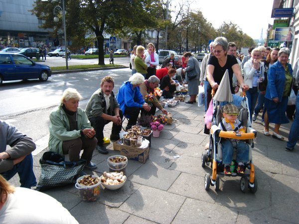 Small mushroom market in Czestochowa