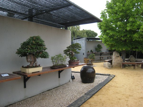 Alcobendas Bonsai Museum