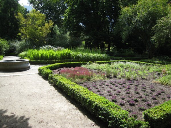 Madrid Botanical Gardens