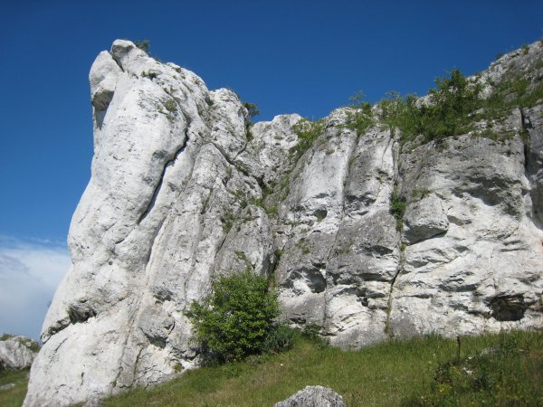 Where mario use to rock climb