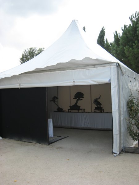 The tents