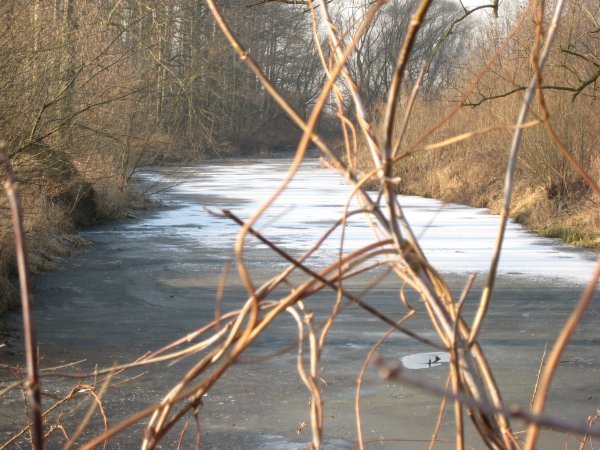 Wow, the first frozen river I saw!