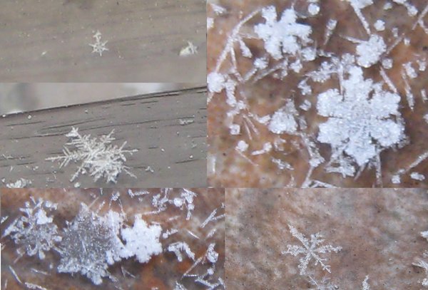 My snowflake collage