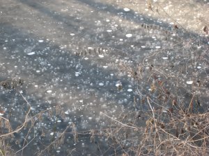 Strange bubbles in the frozen river