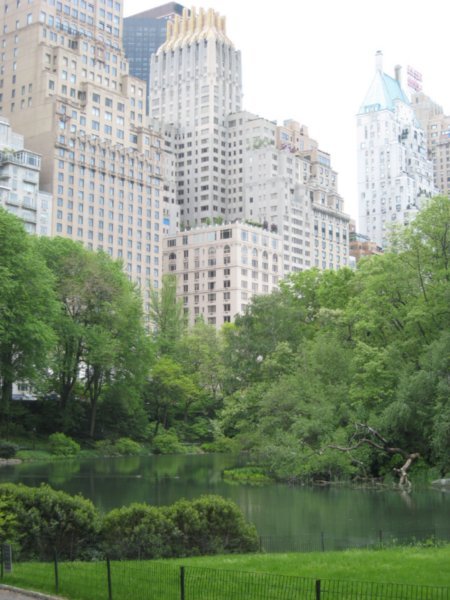 Central Park amid all the skyscrapers