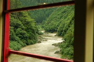 View from the 'Romantic Train' in Arashiyama