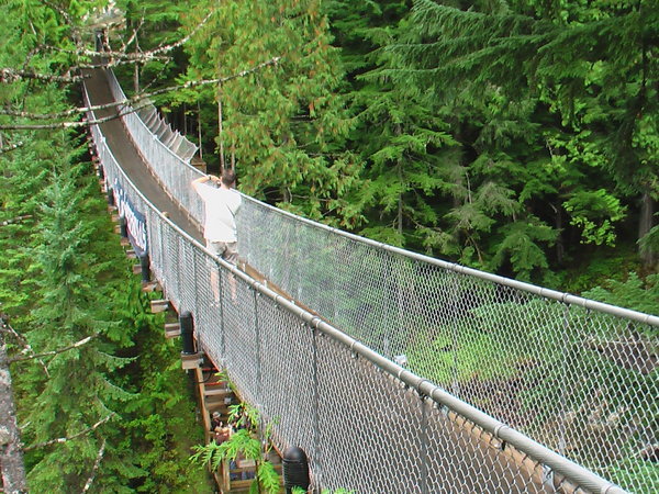 Crazy Creek suspension bridge