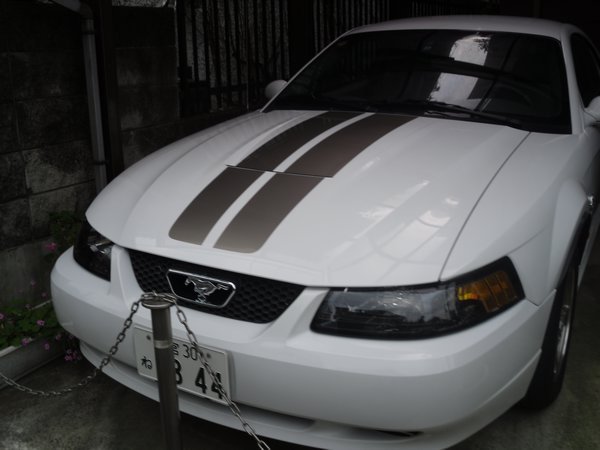 Mustang in Japan