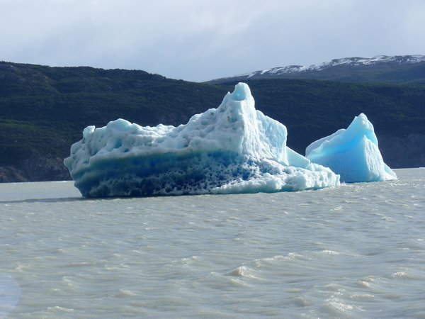 Icebergs!!!!!