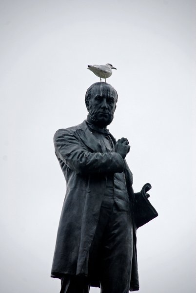 famous man with bird