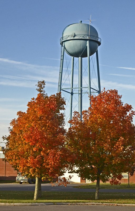 red red trees in front of water tower