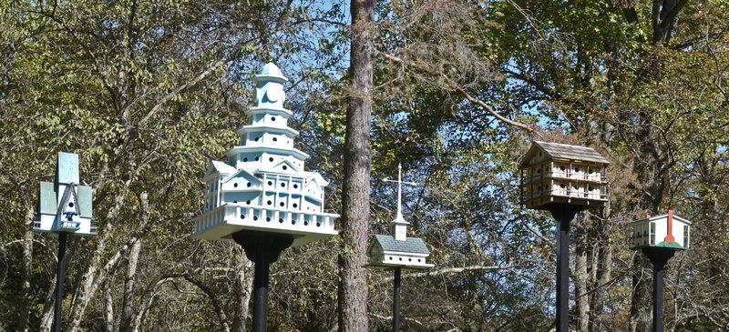 cool birdhouses