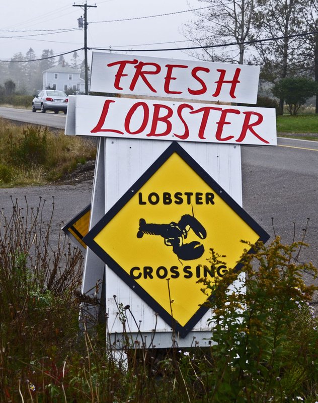 lobster crossing x