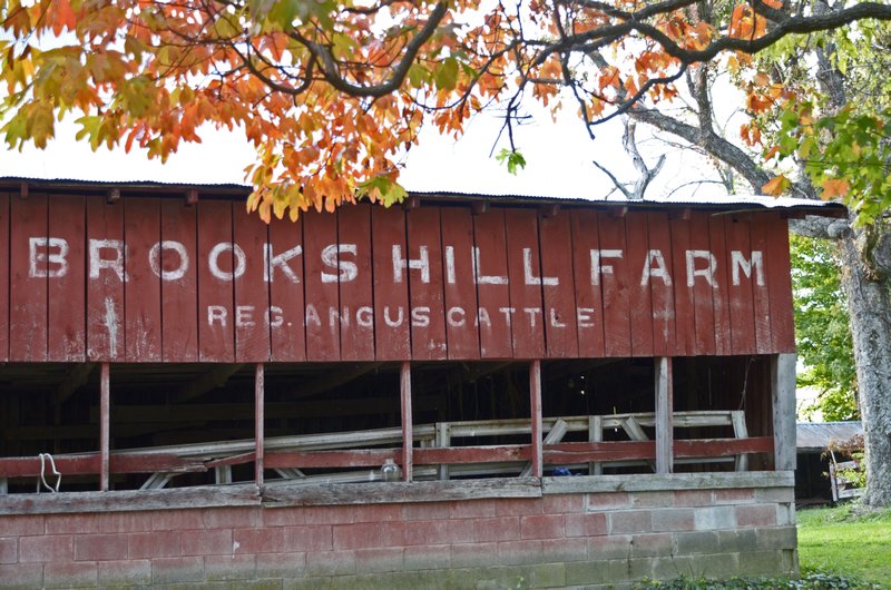 Brooks Hill Farm