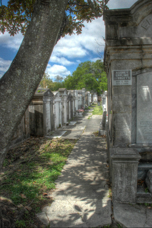 path through cemetery