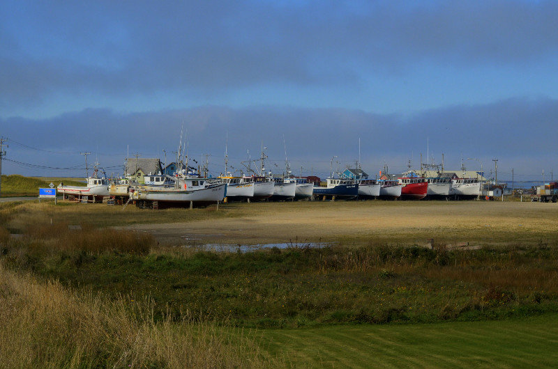 line of fishing boats