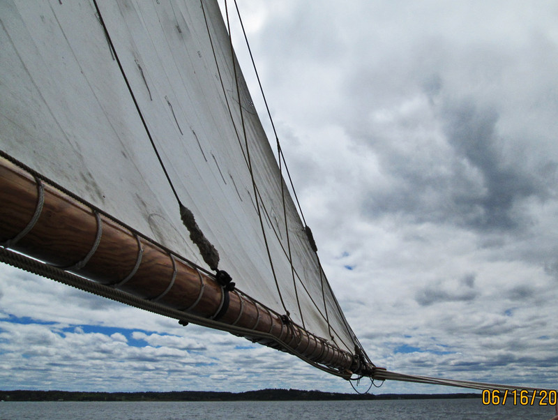 Bluenose sail