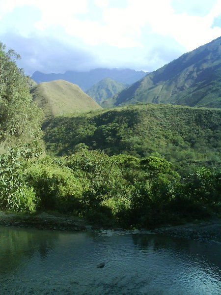 Peruvian Jungle