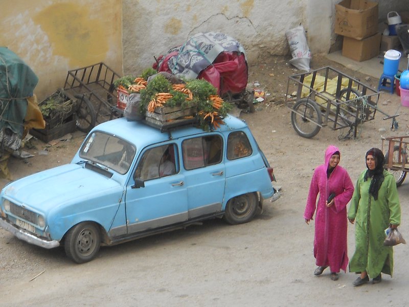 car loaded with carrots