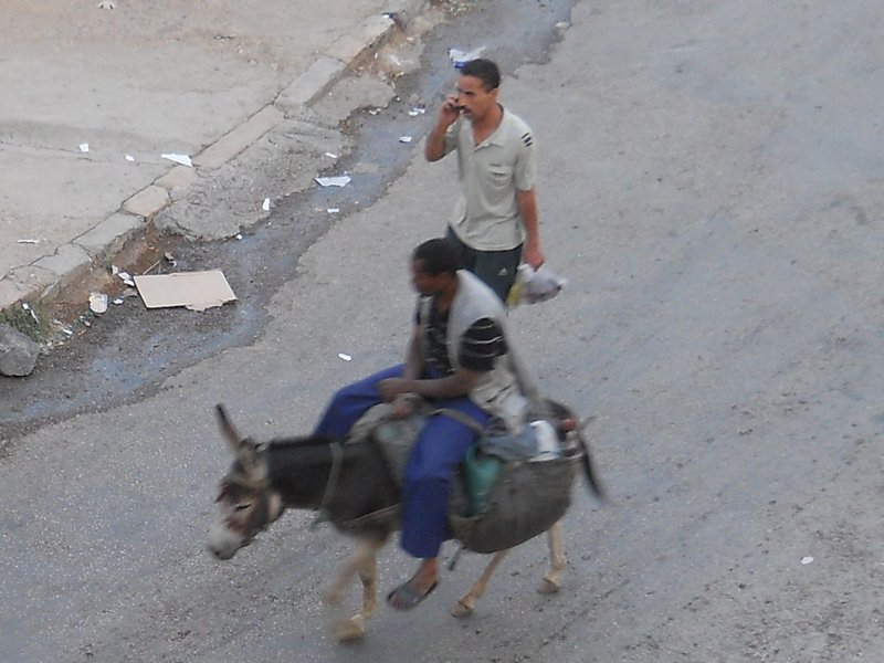 todays donkey carrying only a person