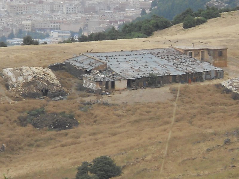 chicken shed in the hills