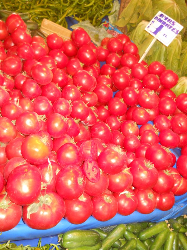 tomatoes best in the world
