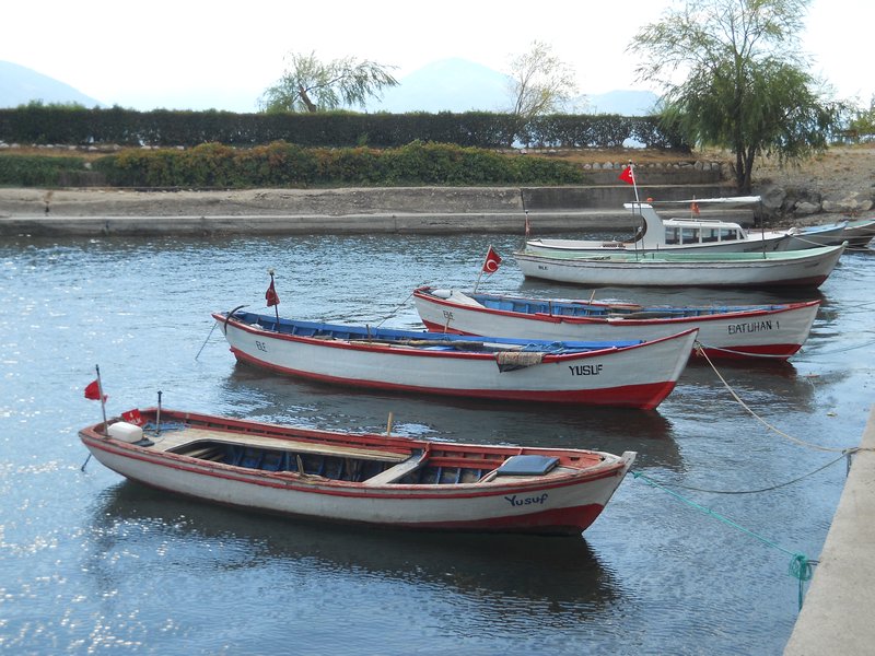 boats by the lake