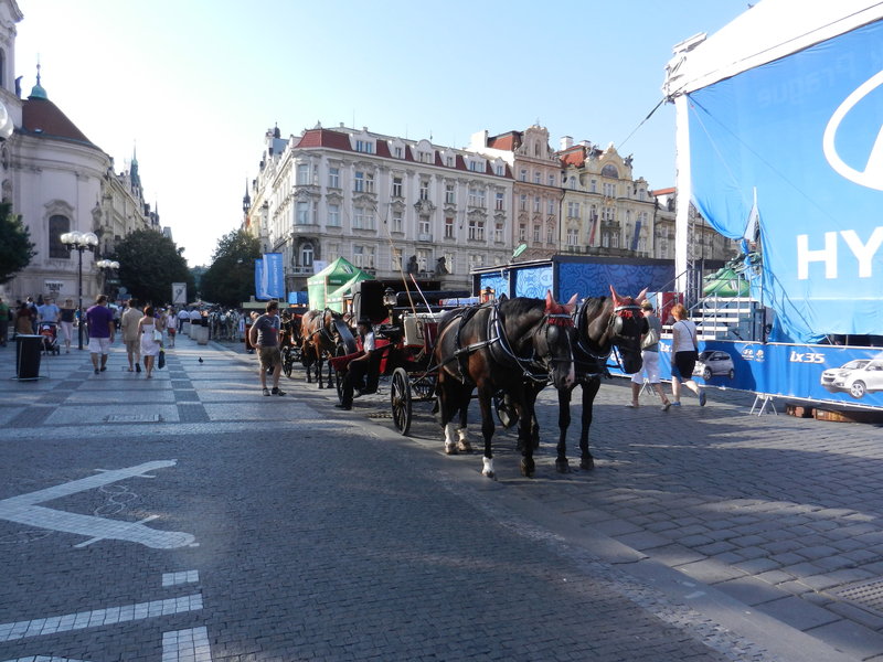 horse & cart