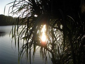 Lake Eacham, Wooroonooran Nat'l Park