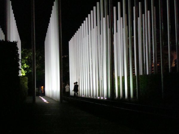 A park at night