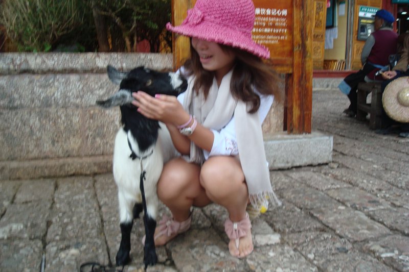 goat and a girl