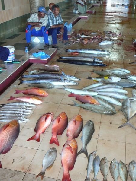 Male Fish Market