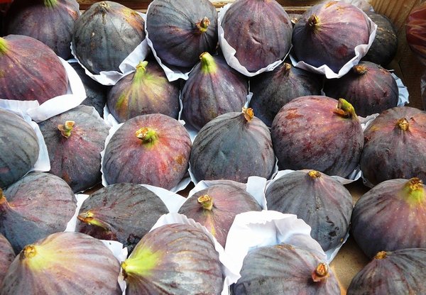 luscious figs